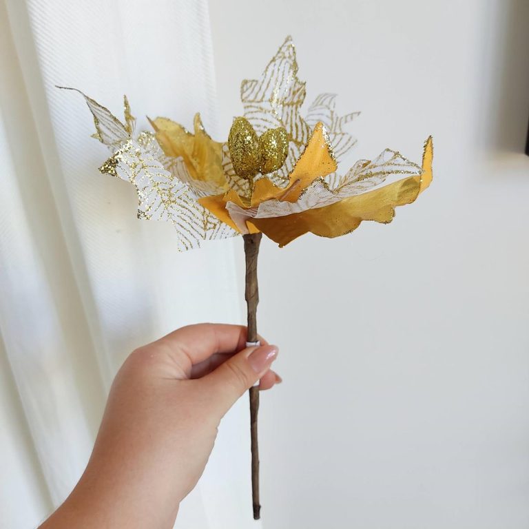 Ozdoba świąteczna, poinsecja, gwiazda betlejemska