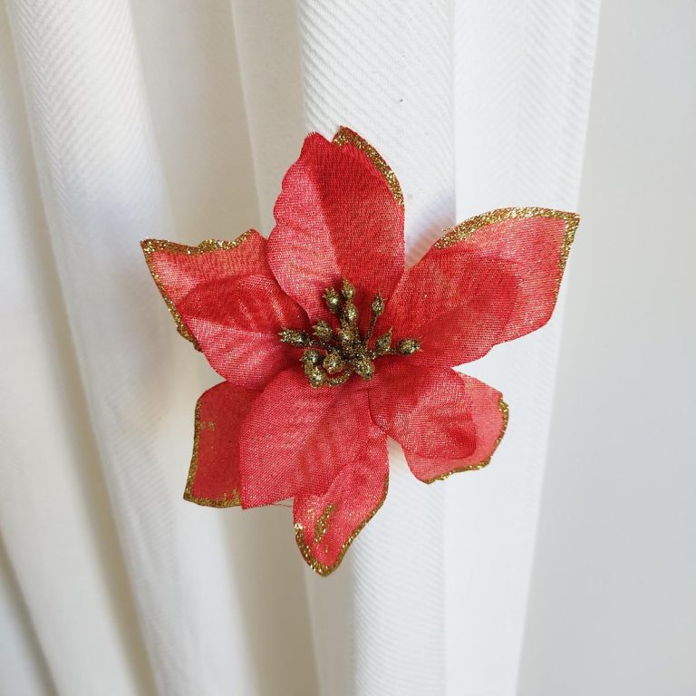 Ozdoba świąteczna, poinsecja, gwiazda betlejemska