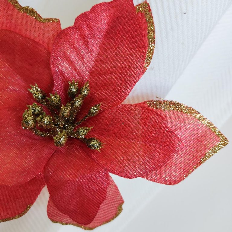 Ozdoba świąteczna, poinsecja, gwiazda betlejemska