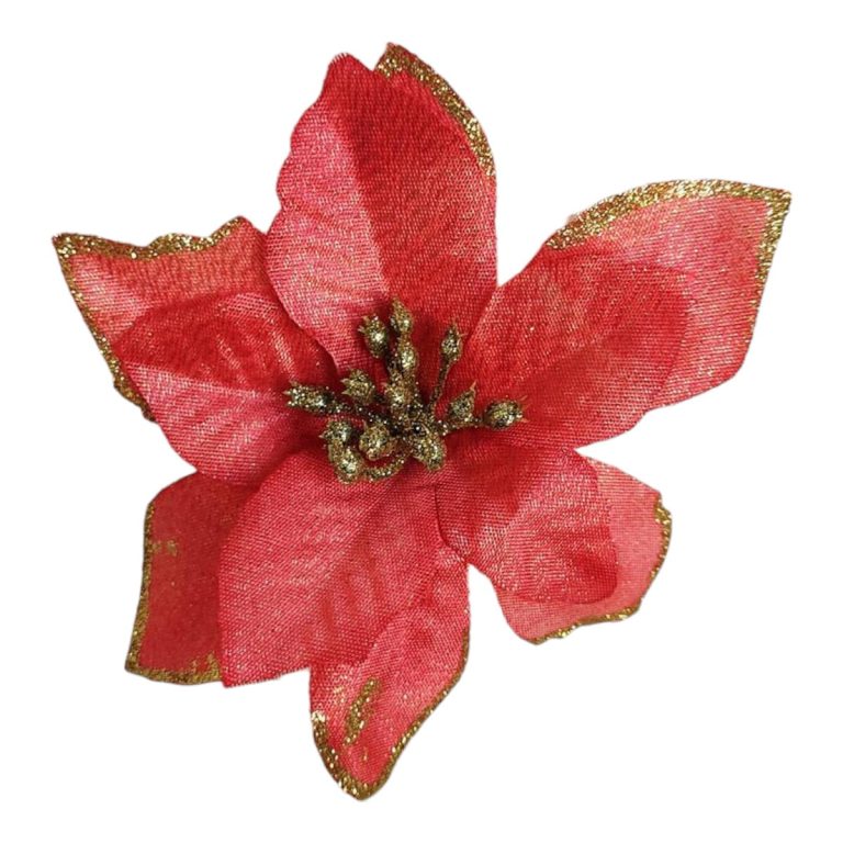 Ozdoba świąteczna, poinsecja, gwiazda betlejemska