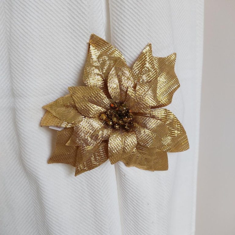 Poinsecja, gwiazda betlejemska na klipsie