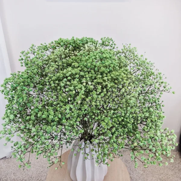 Gipsówka stabilizowana wiecznie żywa ciemno zielona duży bukiet