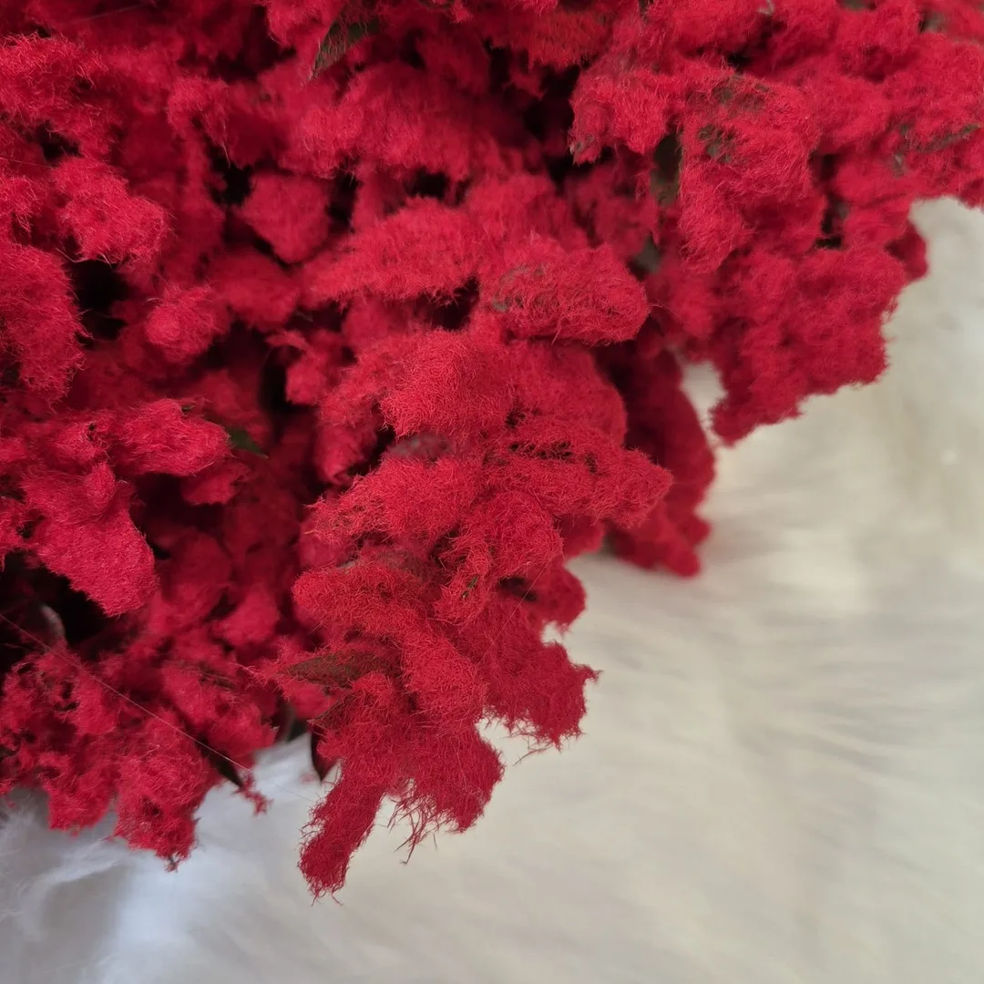 Wianek na drzwi świąteczny bożonarodzeniowy z czerwonych oprószonych gałązek 50cm