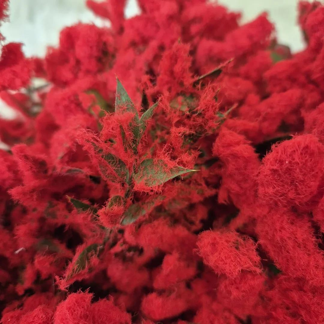 Wianek na drzwi świąteczny bożonarodzeniowy z czerwonych oprószonych gałązek 50cm