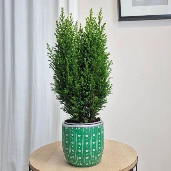 Osłonka na doniczkę ceramiczna zielona świąteczna w srebrne gwiazdki 12cm