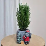 Osłonka na doniczkę betonowa z czerwonym Mikołajem i choinką 8,5cm