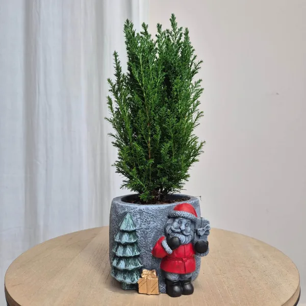 Osłonka na doniczkę betonowa z czerwonym Mikołajem i choinką 8,5cm