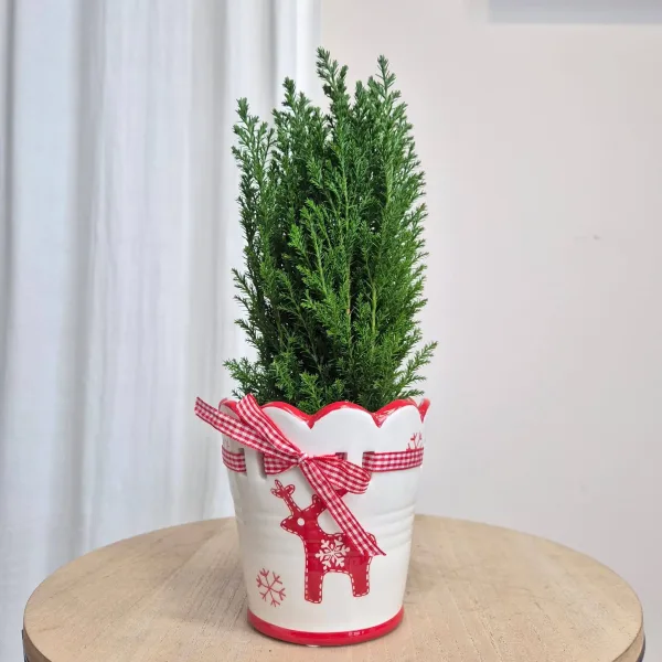 Osłonka na doniczkę ceramiczna biało-czerwona świąteczna z reniferem 11cm