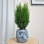 Osłonka na doniczkę betonowa z Mikołajem i choinkami 12cm