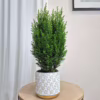 Osłonka na doniczkę ceramiczna biała świąteczna w złote gwiazdki 12cm