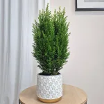 Osłonka na doniczkę ceramiczna biała świąteczna w złote gwiazdki 12cm