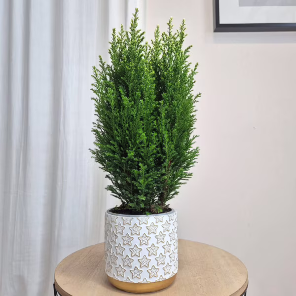 Osłonka na doniczkę ceramiczna biała świąteczna w złote gwiazdki 12cm