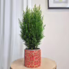 Osłonka na doniczkę ceramiczna złota świąteczna w czerwone śnieżynki 12cm