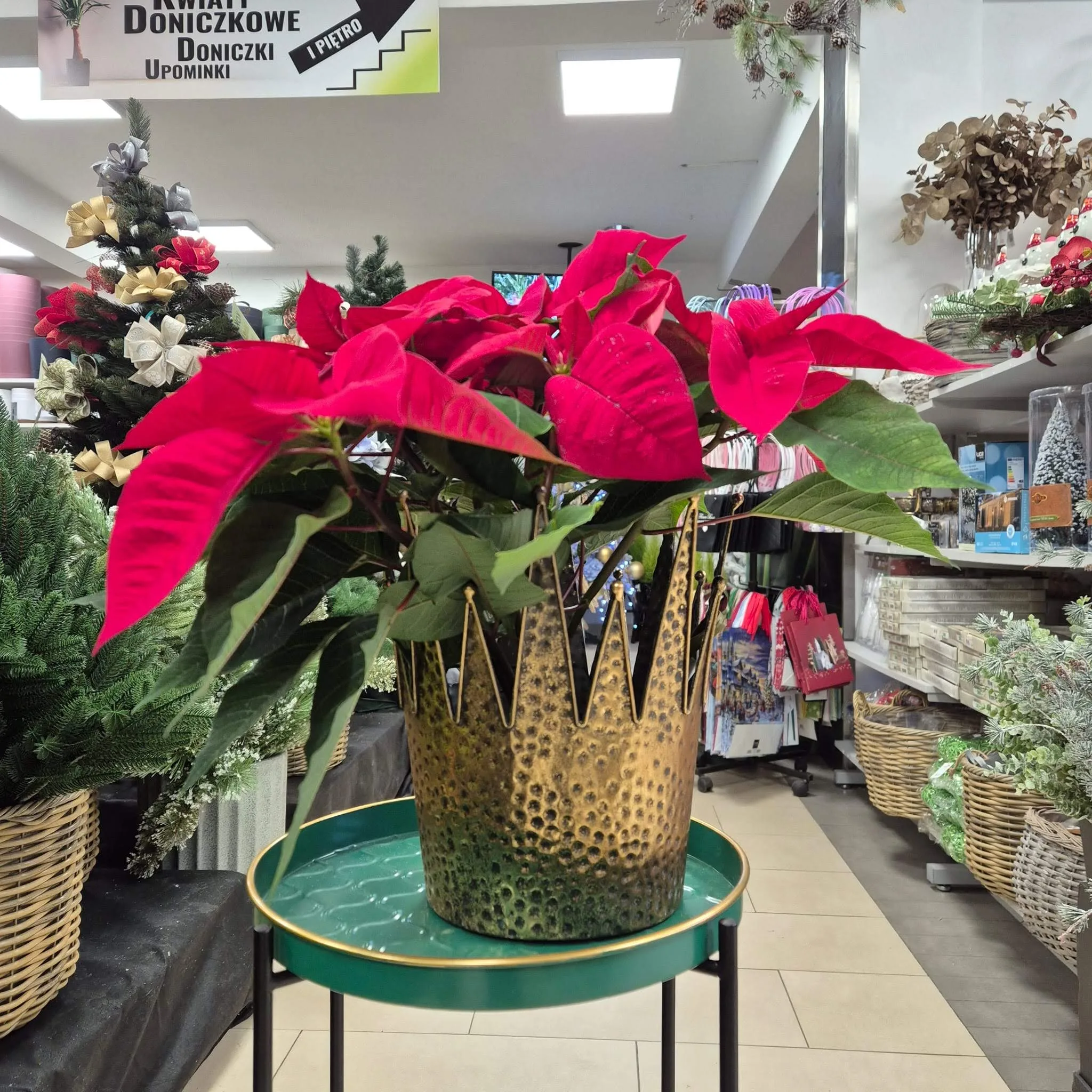 Osłonka na doniczkę metalowa złota korona