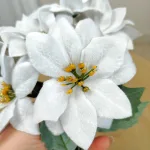 Poinsecja, gwiazda betlejemska biała gałązka