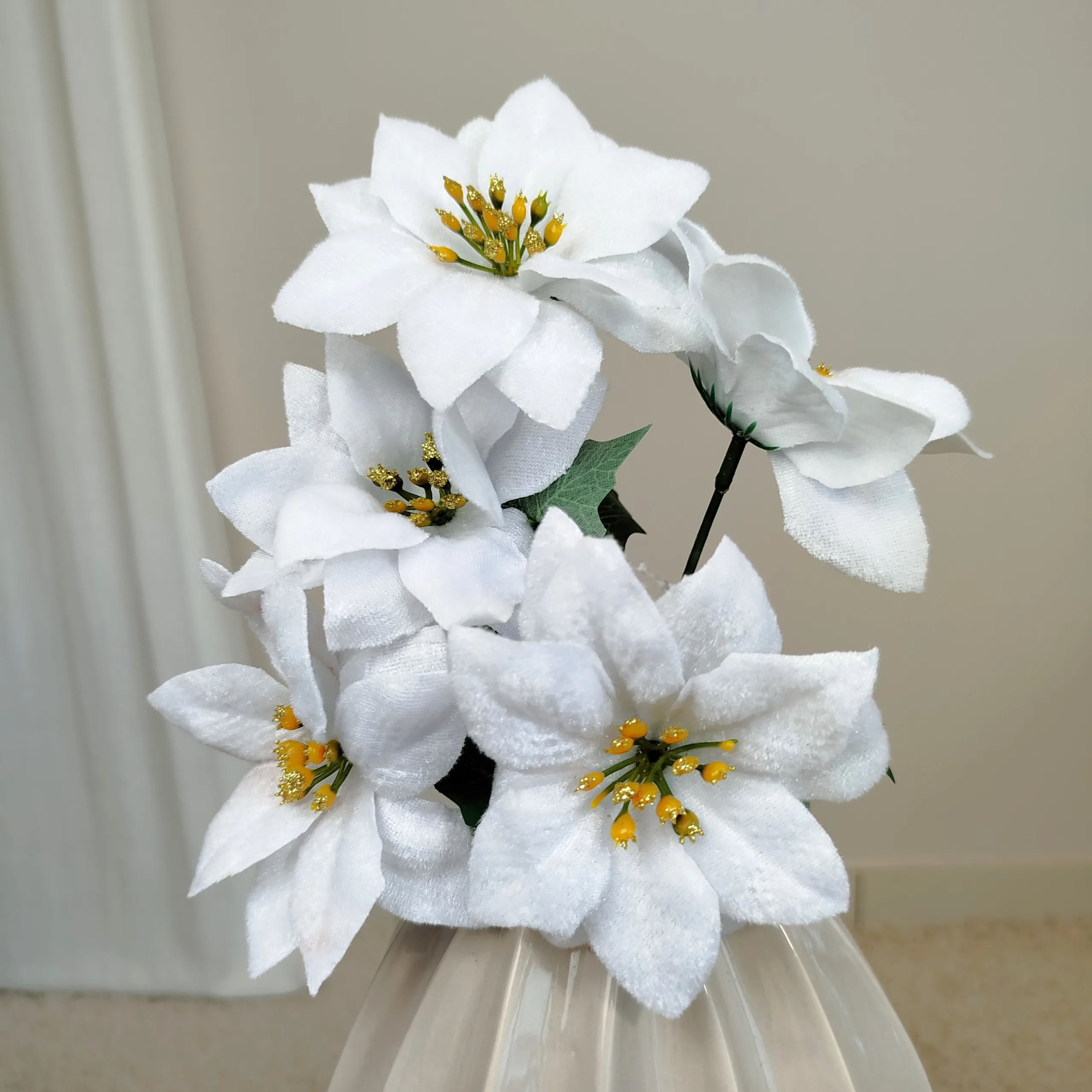 Poinsecja, gwiazda betlejemska biała gałązka