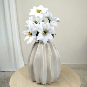 Poinsecja, gwiazda betlejemska biała gałązka