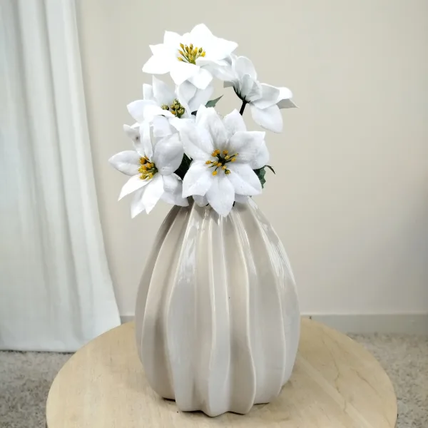 Poinsecja, gwiazda betlejemska biała gałązka