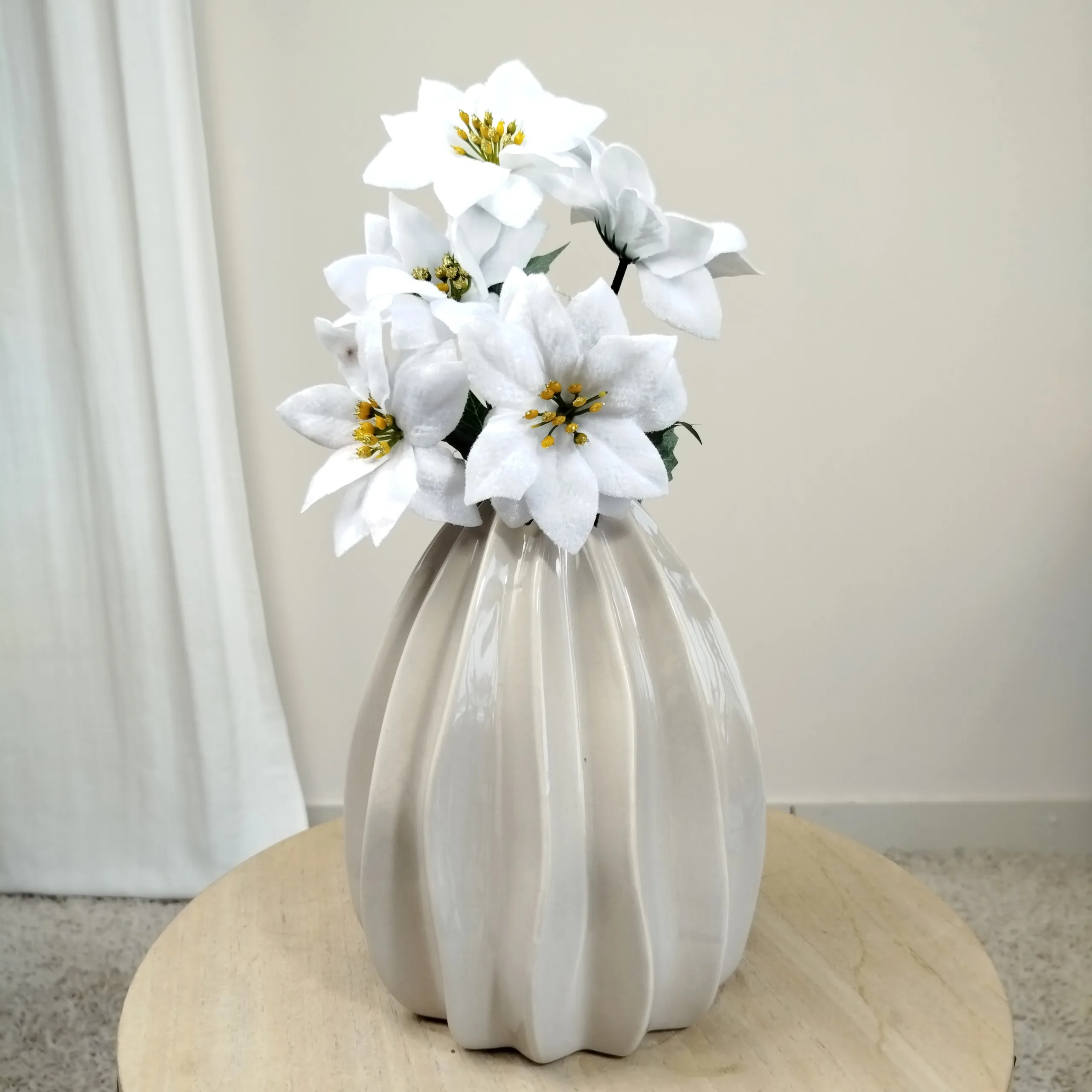 Poinsecja, gwiazda betlejemska biała gałązka