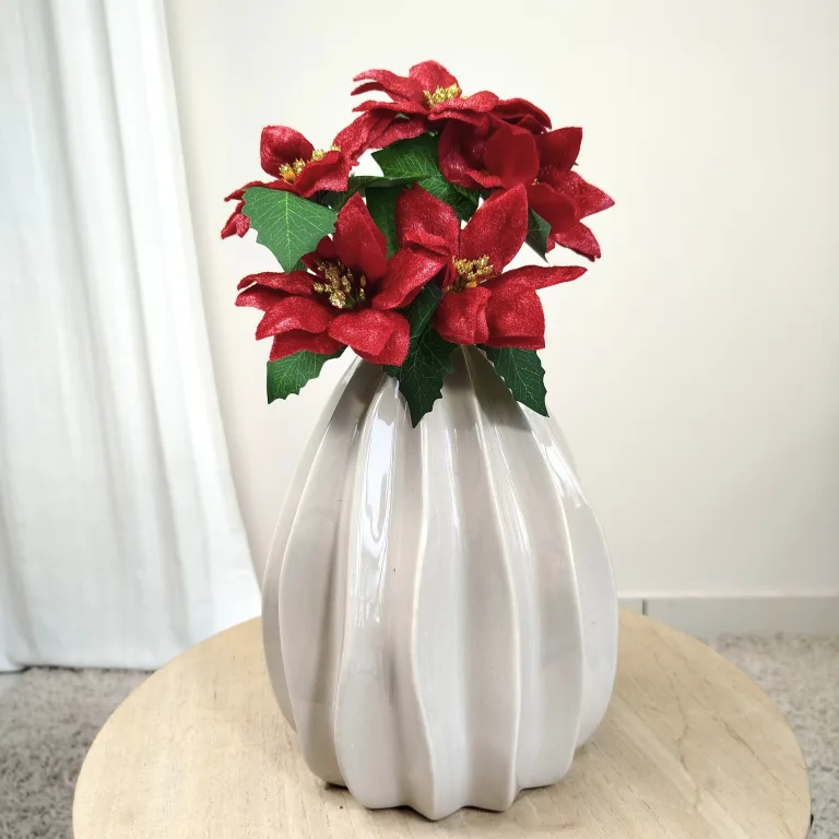 Poinsecja, gwiazda betlejemska czerwona gałązka