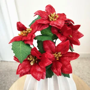 Poinsecja, gwiazda betlejemska czerwona gałązka