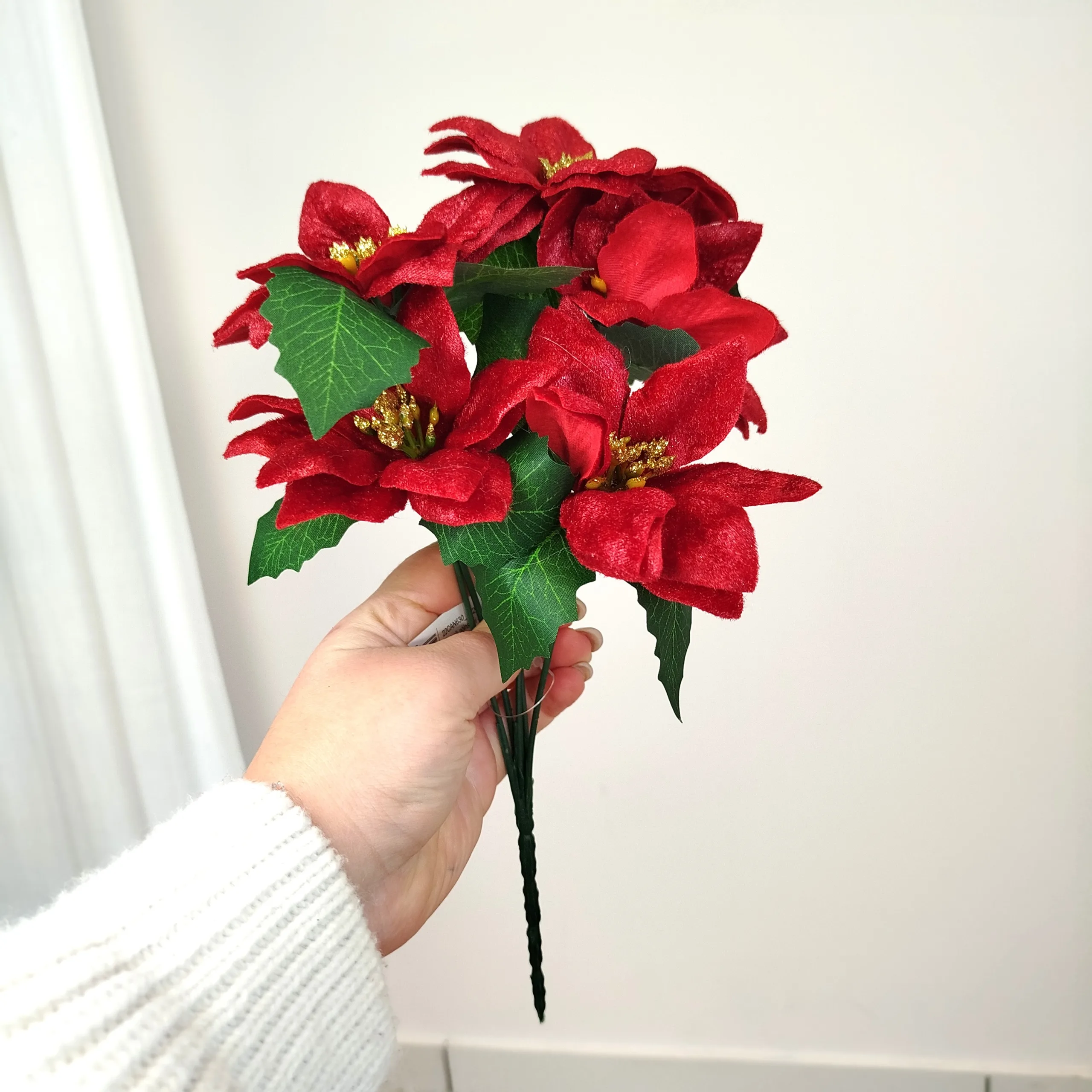 Poinsecja, gwiazda betlejemska czerwona gałązka