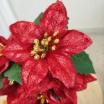 Poinsecja, gwiazda betlejemska czerwona gałązka