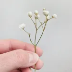 Gipsówka stabilizowana wiecznie żywa mini box 80g biała