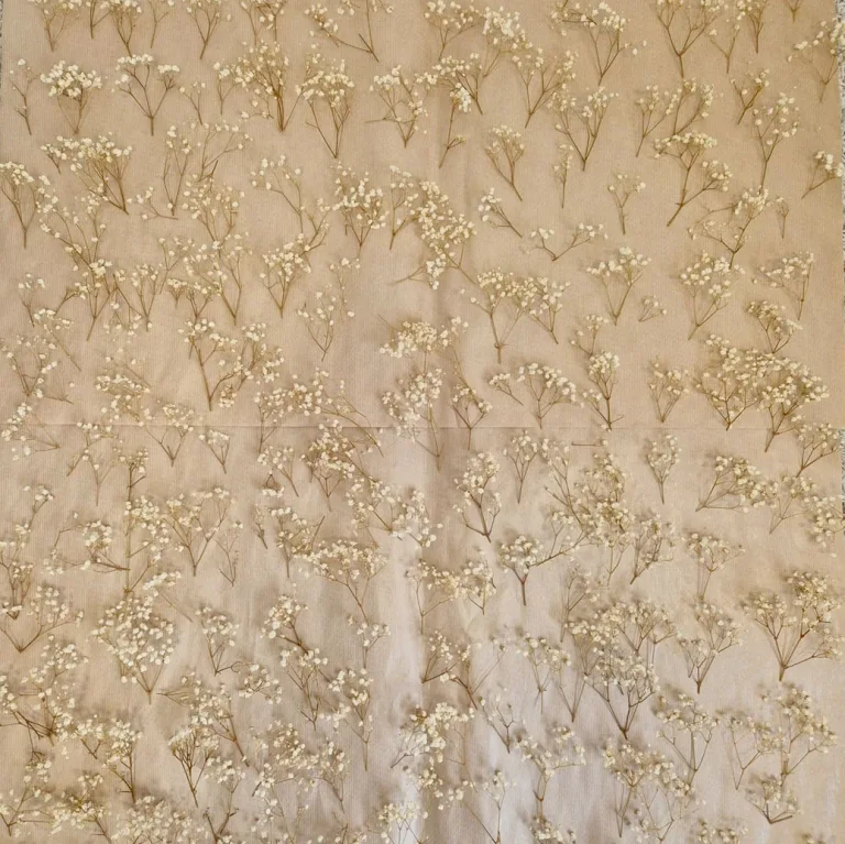 Gipsówka stabilizowana wiecznie żywa mini box 80g biała