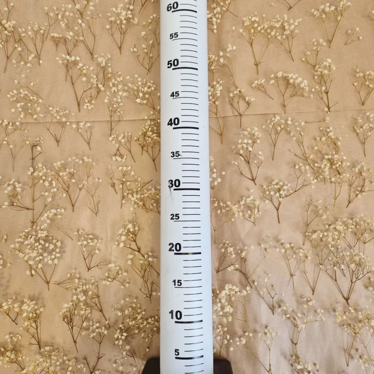 Gipsówka stabilizowana wiecznie żywa mini box 80g biała