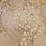 Gipsówka stabilizowana wiecznie żywa mini box 80g biała