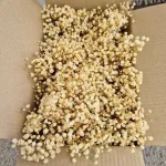 Gipsówka stabilizowana wiecznie żywa mini box 80g biała