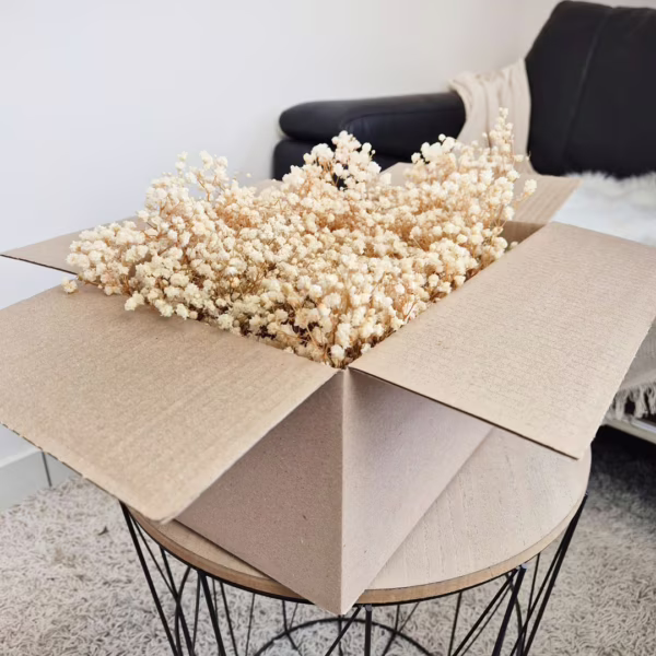 Gipsówka stabilizowana wiecznie żywa mini box 80g biała