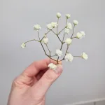 Gipsówka stabilizowana wiecznie żywa mini box 80g biała