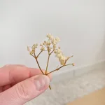 Gipsówka stabilizowana wiecznie żywa mini box 80g biała