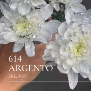 Farba do kwiatów w sprayu Florcolor Argento 614