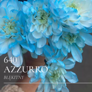 Farba do kwiatów w sprayu Florcolor Azzurro 640