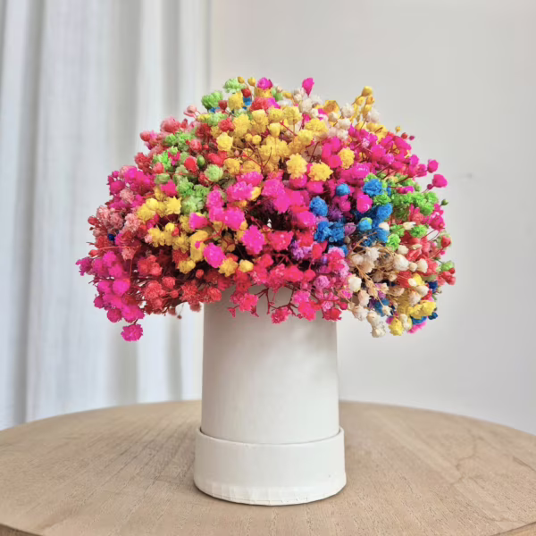 Gipsówka stabilizowana wiecznie żywa flower box kremowy