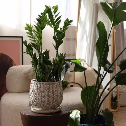 Doniczka ceramiczna beżowa z podstawką 38cm