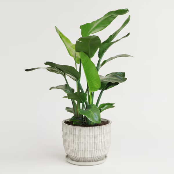 Donica duża z podstawką doniczka ogrodowa ceramiczna beżowa 36cm